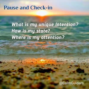Pause and Check-in